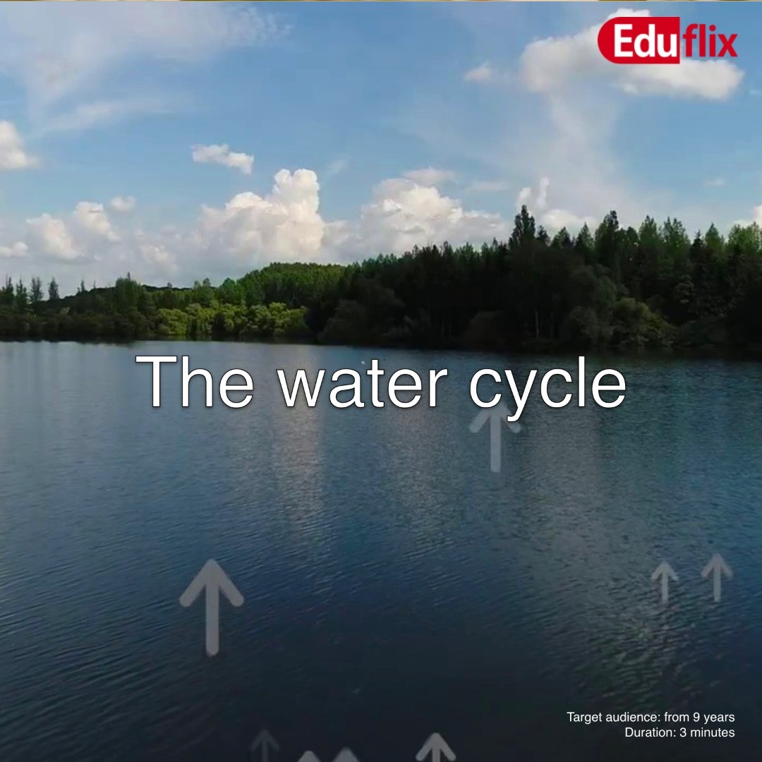 If there were no water on our planet, there would be no life either. All water on earth circulates in what we call the water cycle, nature's own water spreader, you could say.