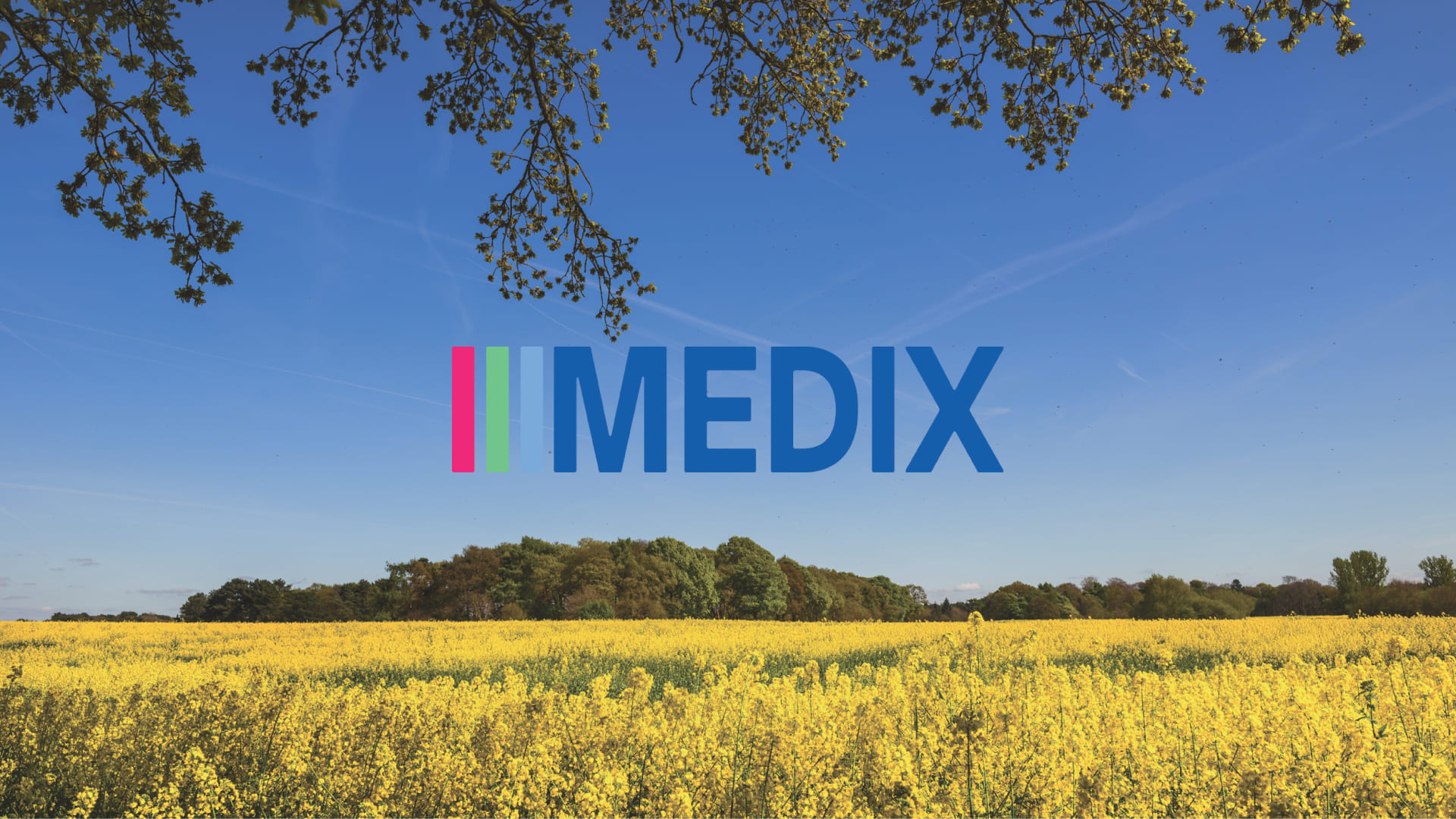 Medix education